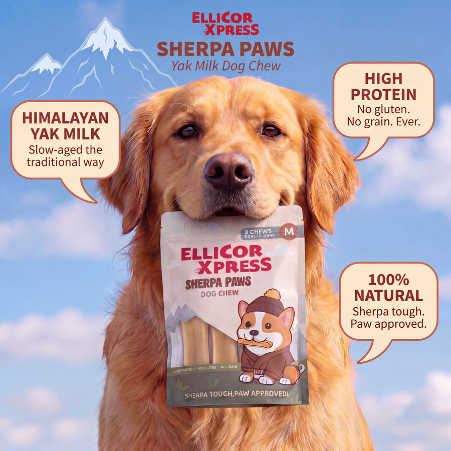 Made For Real Chewers